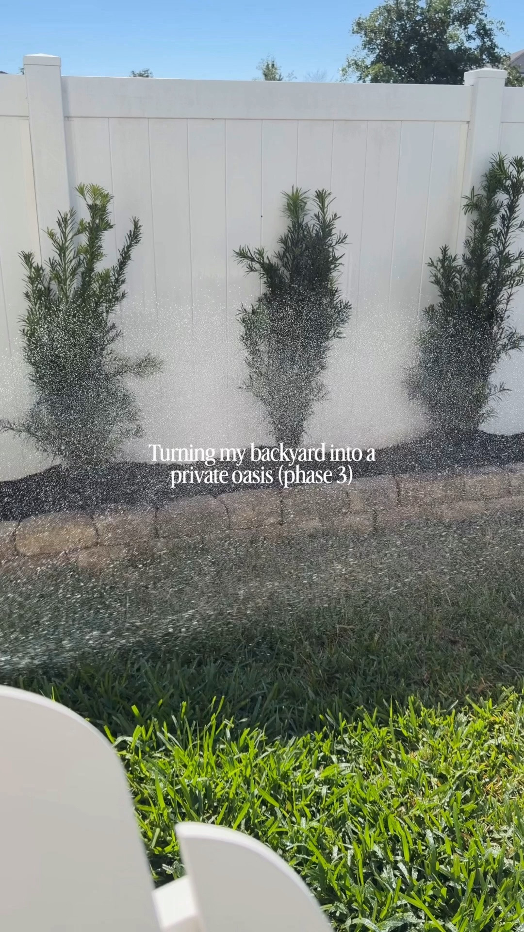 We planted Podocarpus along the fence line to create a natural privacy hedge, and I’m so excited to watch these fill in over the next year. One thing we’ve learned living in Florida is drainage matters SO much, so we created raised beds and mounded the soil to help keep the roots from sitting in water.
We used this same method on the other side of our house and they’ve been thriving ever since. Can’t wait to see how this space transforms 🤍

#LTKActive #LTKSeasonal #LTKHome