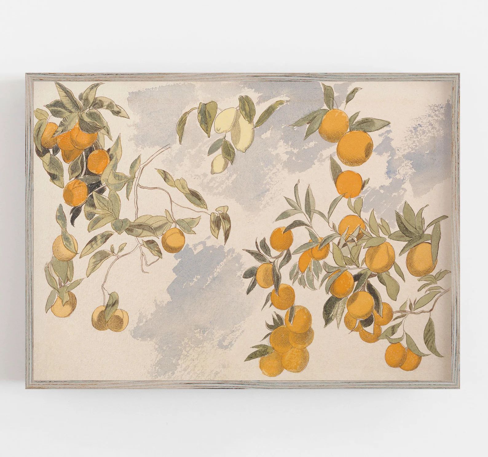 Oranges Wall Art | Vintage Wall Art | Farmhouse Kitchen Decor | Fruit Wall Art | Citrus Print | C... | Etsy (US)