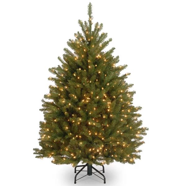 Dunhill Fir 4' Fir Green Artificial Christmas Tree with 200 Clear/White Lights | Wayfair North America