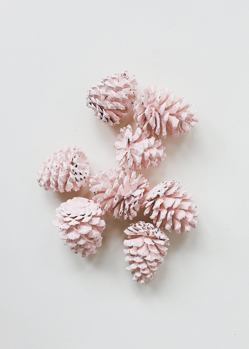 Natural Ponderosa Pine Cones in Pink | Afloral (US)