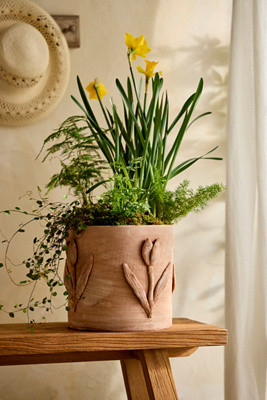 Tulip Icon Terracotta Planter | Terrain