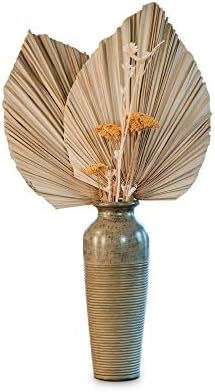 Dried Palm Leaves (3 pc) | Perfect Home, Boho, and Wedding Décor | Amazon (US)