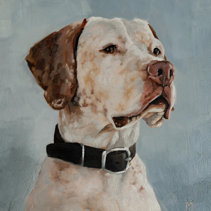 Peach Blossom Braque de Bourbonnais | Society6