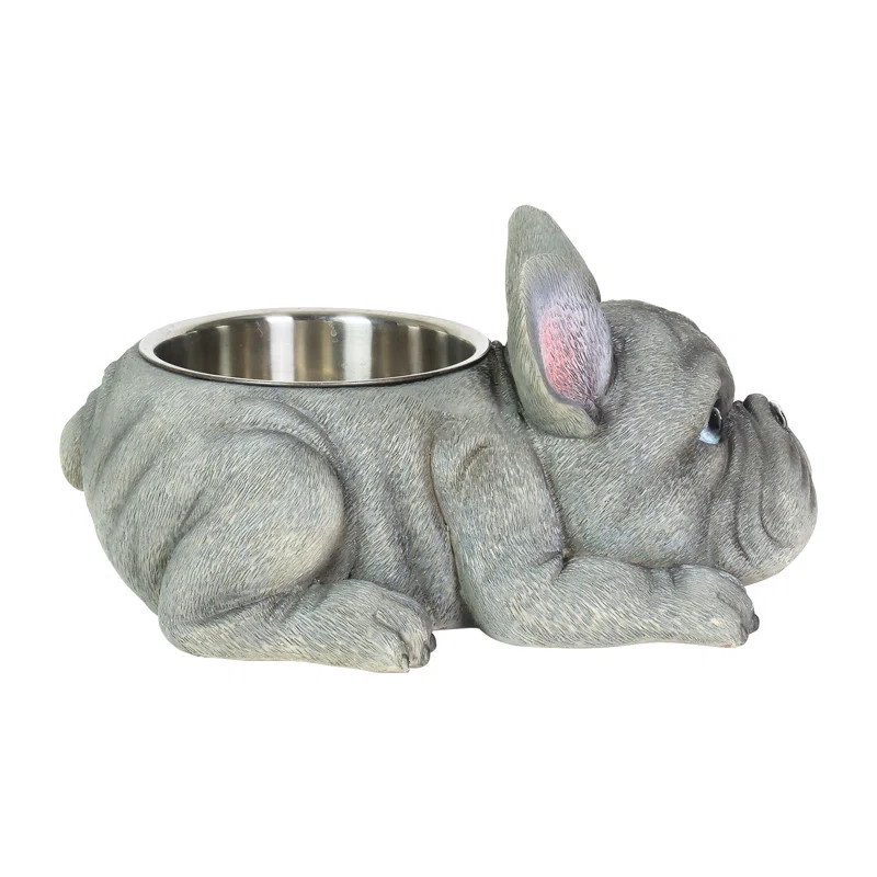 Boxer Bowl | Wayfair North America