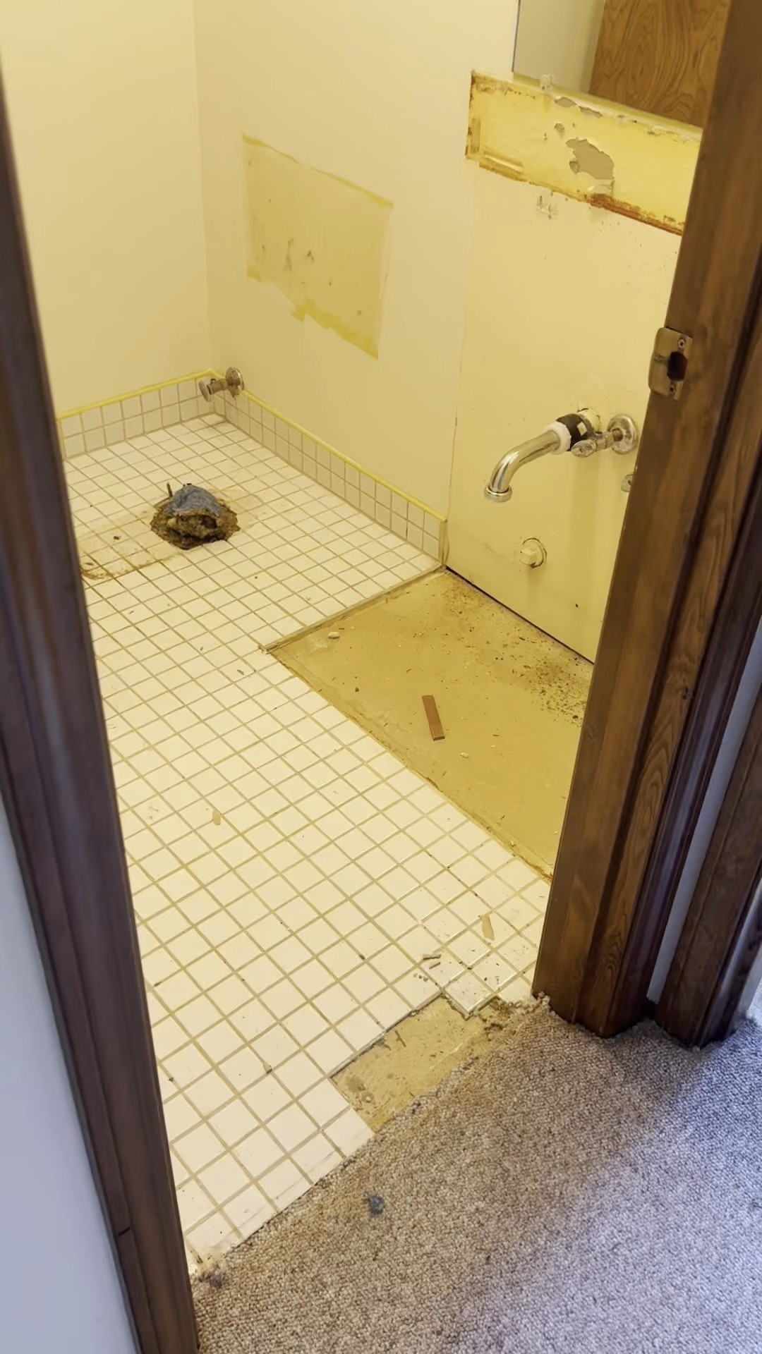 Here’s my tools for tile demo! 

#LTKHome