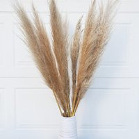 Tall Pampas 3Ft - Natural Beige, Large Fluffy Plume | Dried Pampas Grass | Etsy (US)