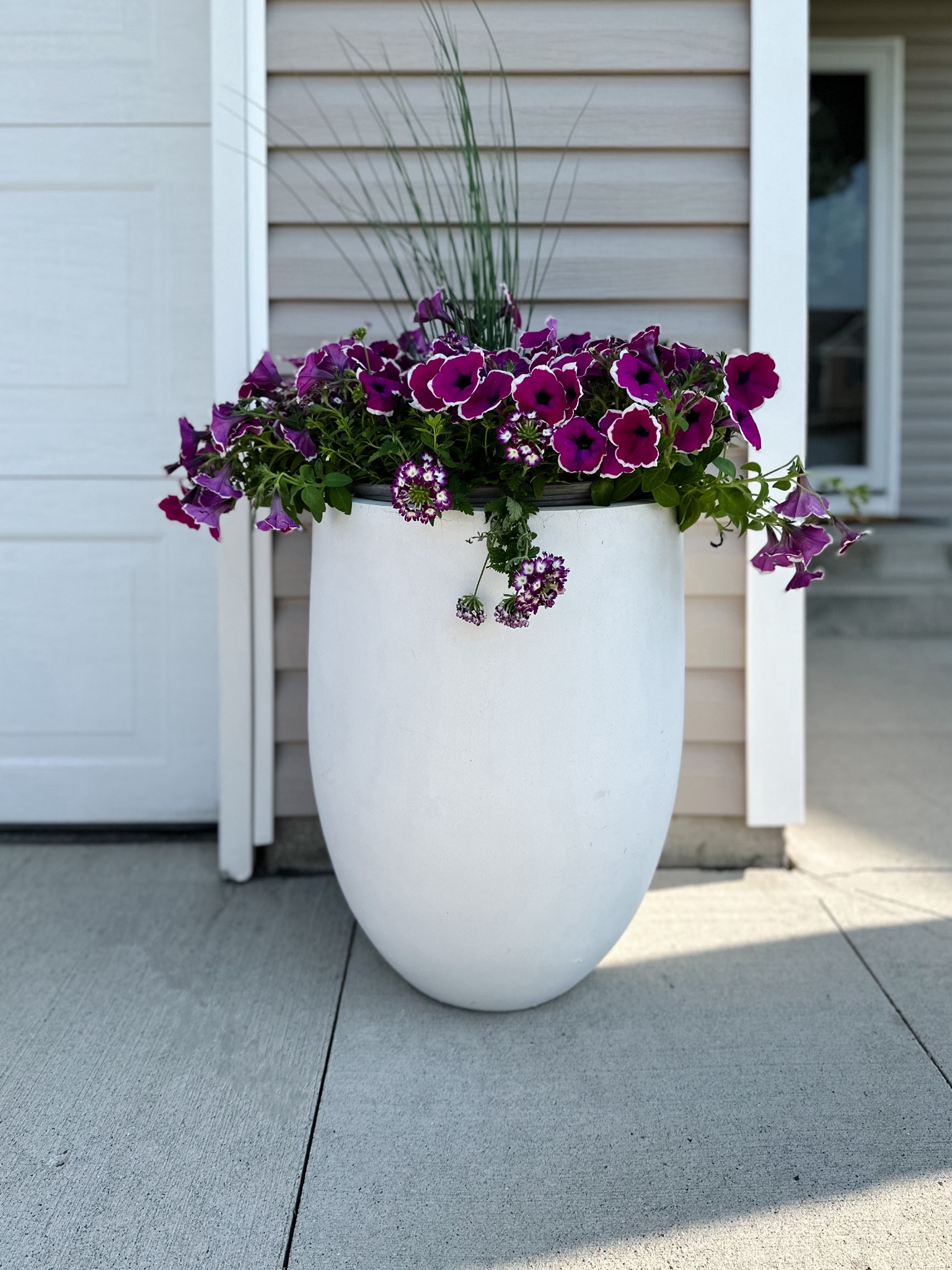 The best large concrete planters from Amazon! 

#LTKStyleTip #LTKHome #LTKSeasonal