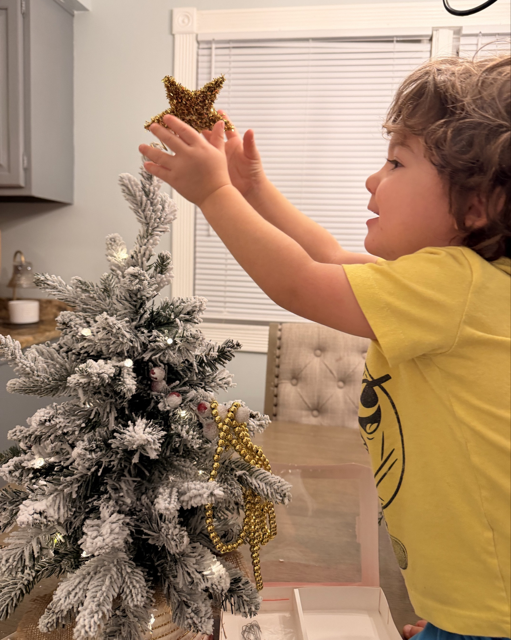 Atlas and I decorated our little Black Friday Amazon tree together and it turned out adorable! 

This is a really nice flocked, full tree with battery powered lights for only $16! 

We added some glass ornaments from Amazon and the rest of the baby decor is from Target! 

🎄EVERYTHING IS ON SALE FOR BLACK FRIDAY🎄

I linked everything below! Enjoy with your little🫶🏼

#LTKmomlife #LTKCyberWeek #LTKHoliday