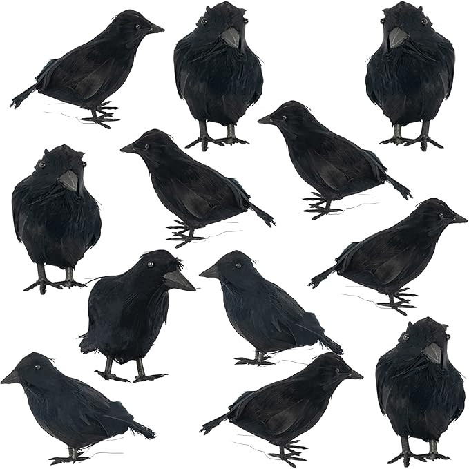 Dazzle Bright Halloween Black Feathered Crows Decor, Holiday Decoration for Indoor Outdoor Home Y... | Amazon (US)