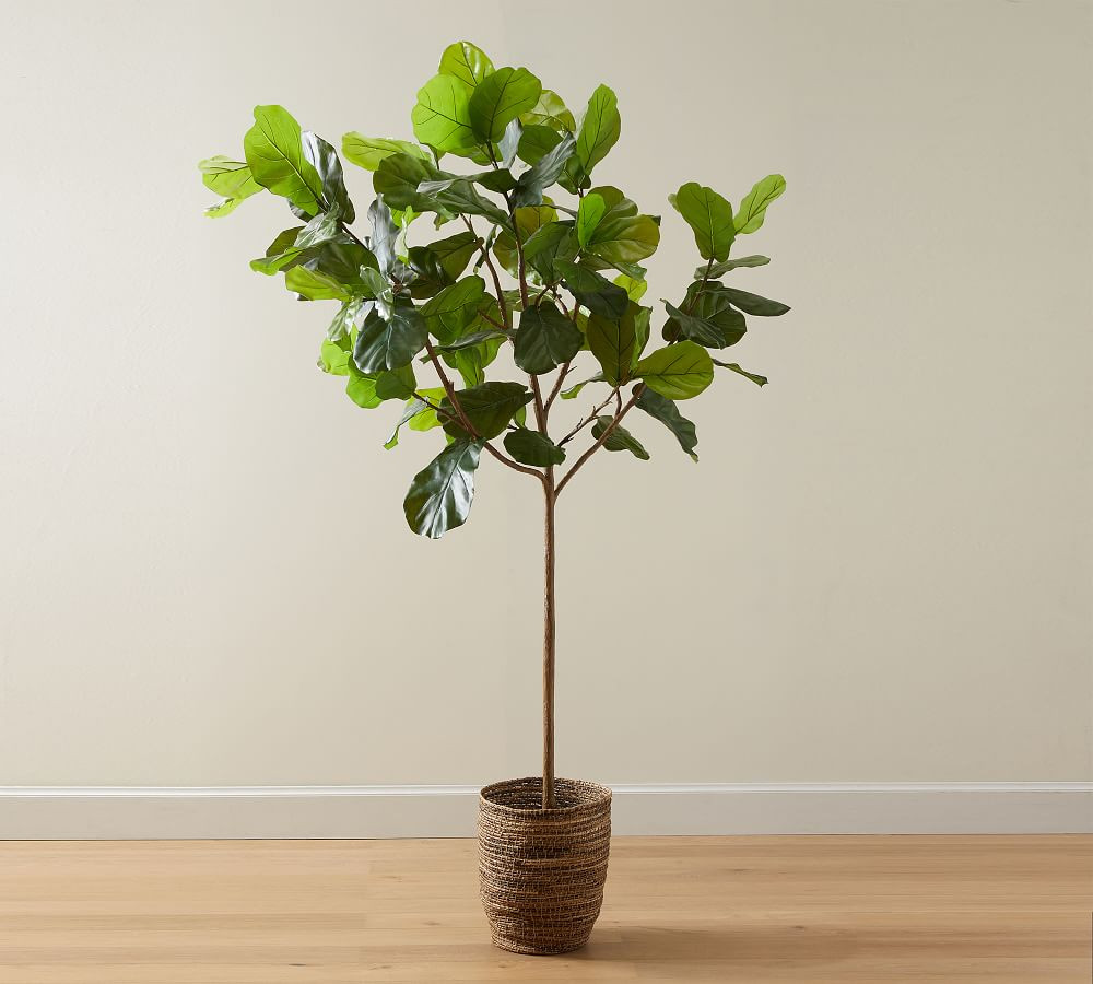 Faux Potted Fiddle Leaf Fig Trees | Pottery Barn (US)