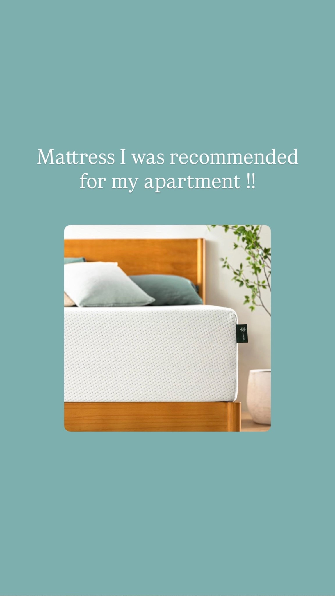 Mattress I was recommended for my apartment- “mattress in a box” from Amazon !! 