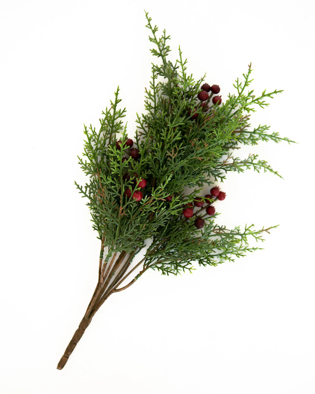 Holly Berry Stem | Elements by Remedy