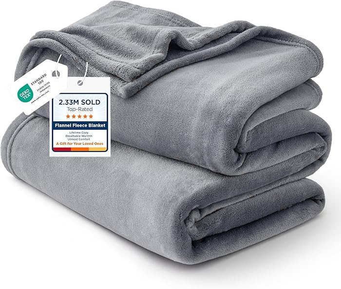 Bedsure GentleSoft Fleece Bed Blankets Queen Size Grey - Soft Warm Spring Blanket Lightweight Coz... | Amazon (US)