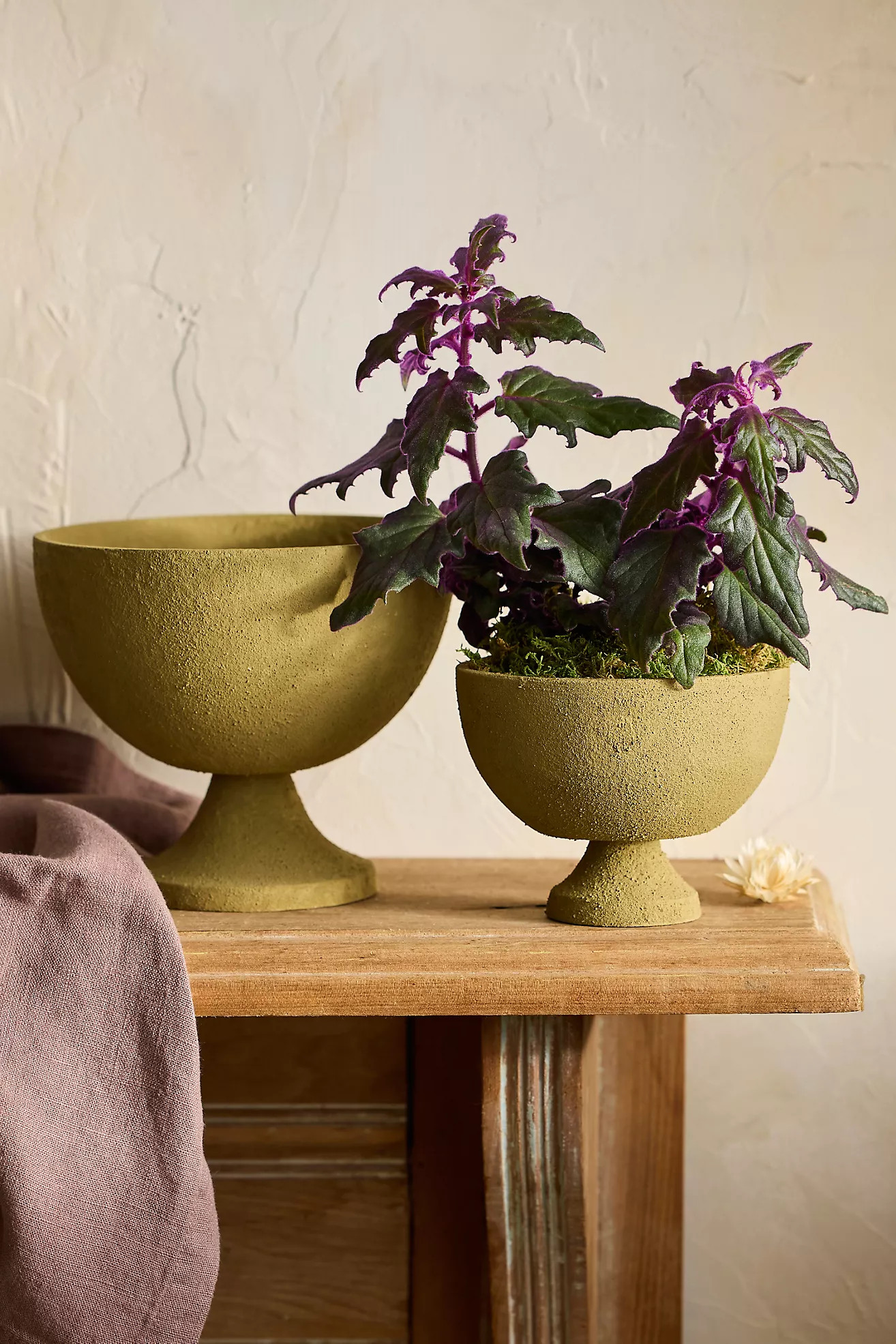 Bronzed Metal Low Urn Planter | Anthropologie (US)