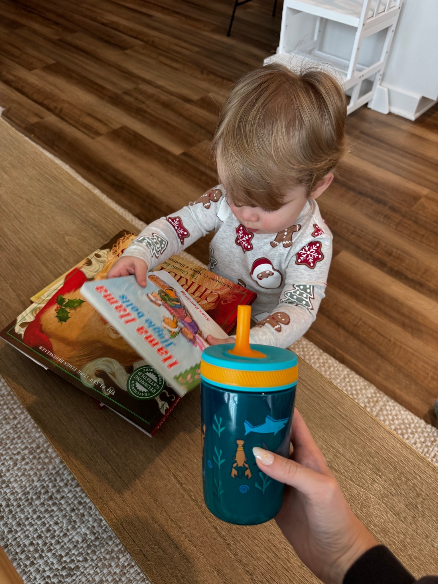 Christmas books & slowly but surely transitioning milk over to a sippy cup — so far he seems to really like this one! Fingers crossed 🥹🧸🎄

#LTKmomlife #LTKBaby #LTKFindsUnder50