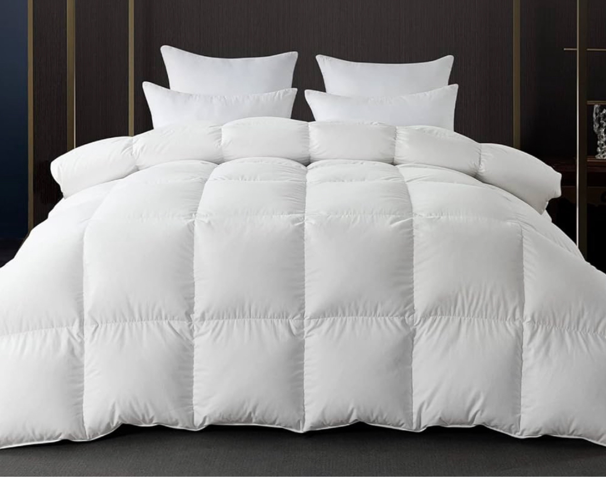 Down Comforter Only! 

#LTKSaleAlert #LTKHome #LTKFallSale