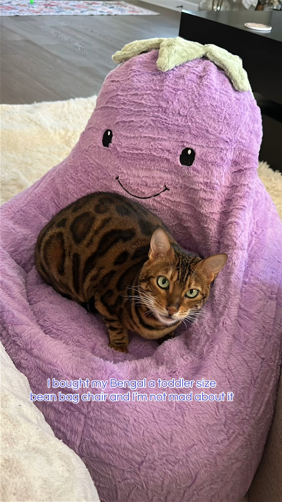I bought my Bengal kitty a toddler size beanbag chair and I'm not mad about it. 
#Beanbag #bengalcat #beanbagchair

#LTKmomlife #LTKHome #LTKBaby