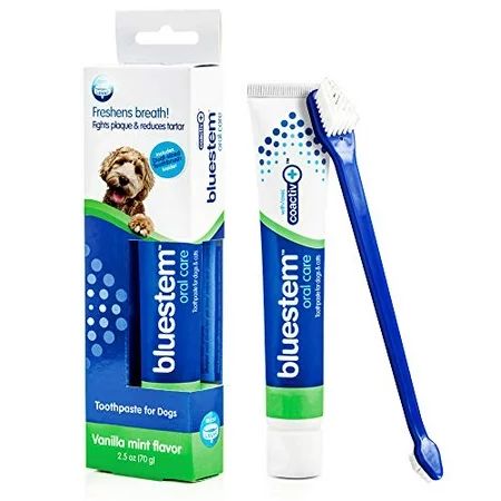 BLUESTEM Toothpaste/Toothbrush Vanilla Mint 2.5oz | Walmart (US)