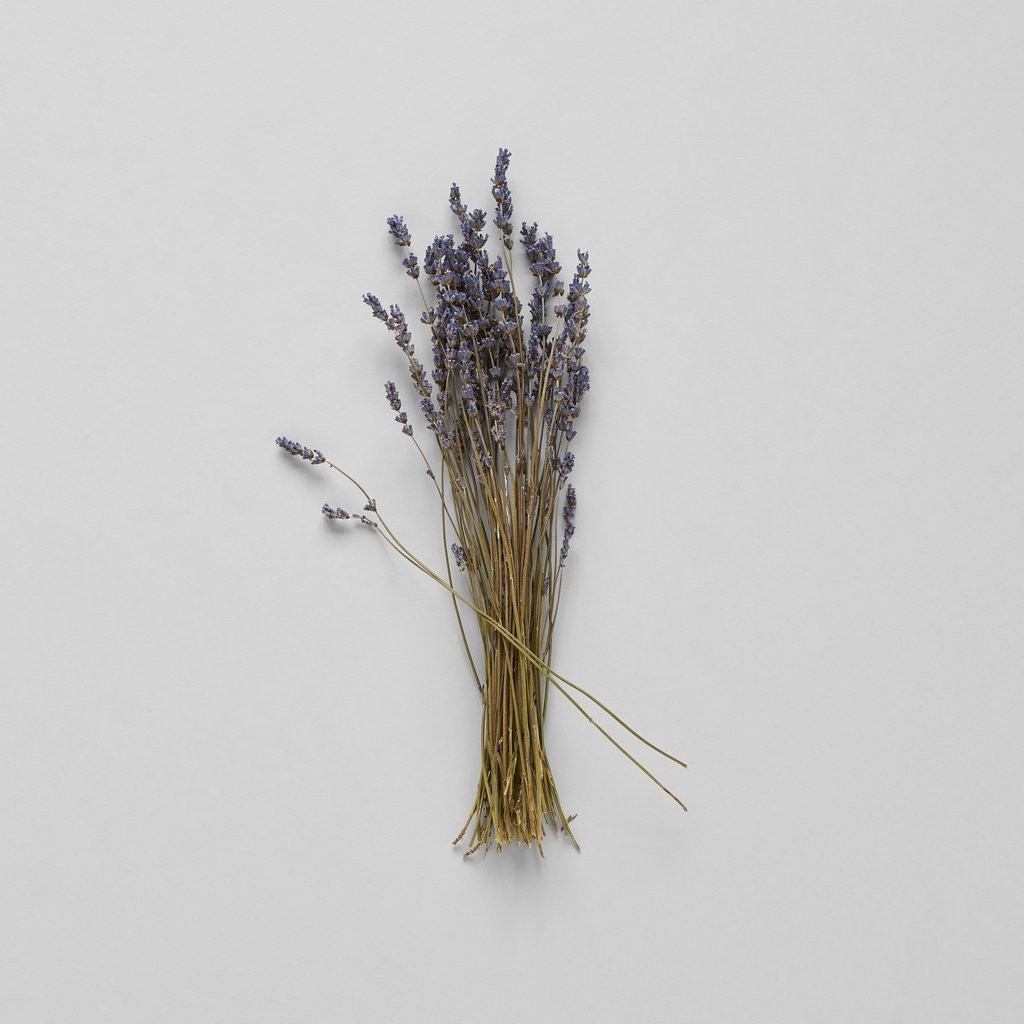 Dried Lavender | Bloomist