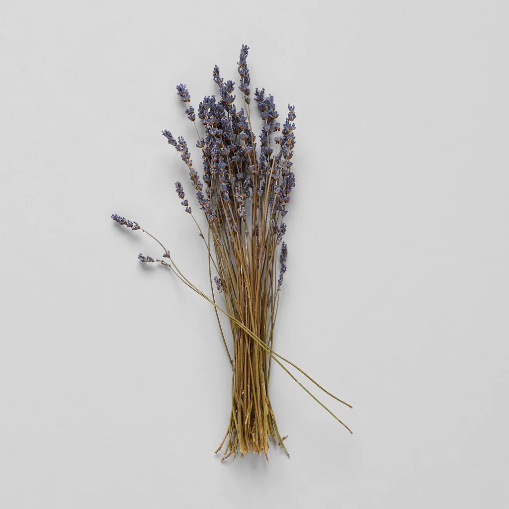 Dried Lavender | Bloomist