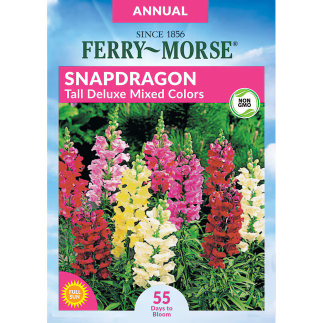 Ferry-Morse Snapdragon Tall Mixed Colors Flower Seeds 0.15-Gram | Lowe's