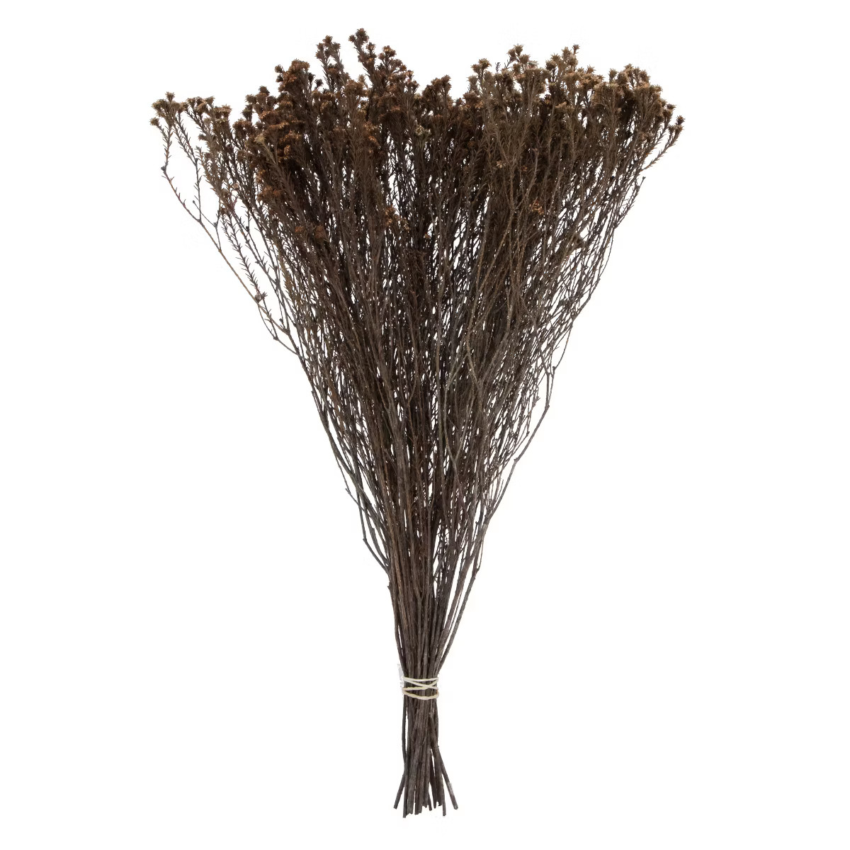 Vickerman Natural Botanicals 19" x 4" Staavia, 100 grams per Unit | Target