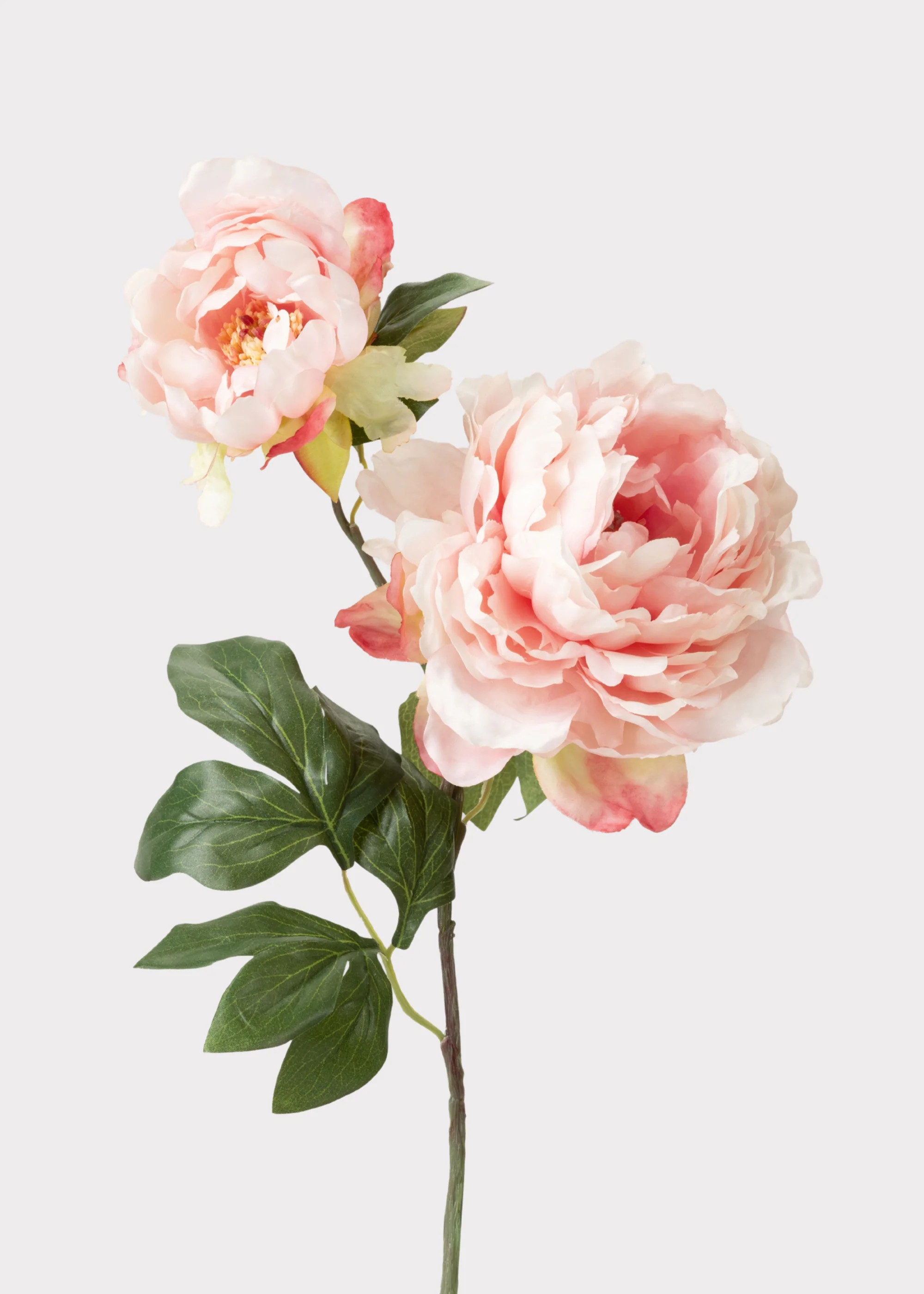 Pink Fake Peony Stem | Nature-Inspired Artificial Flowers | Afloral | Afloral