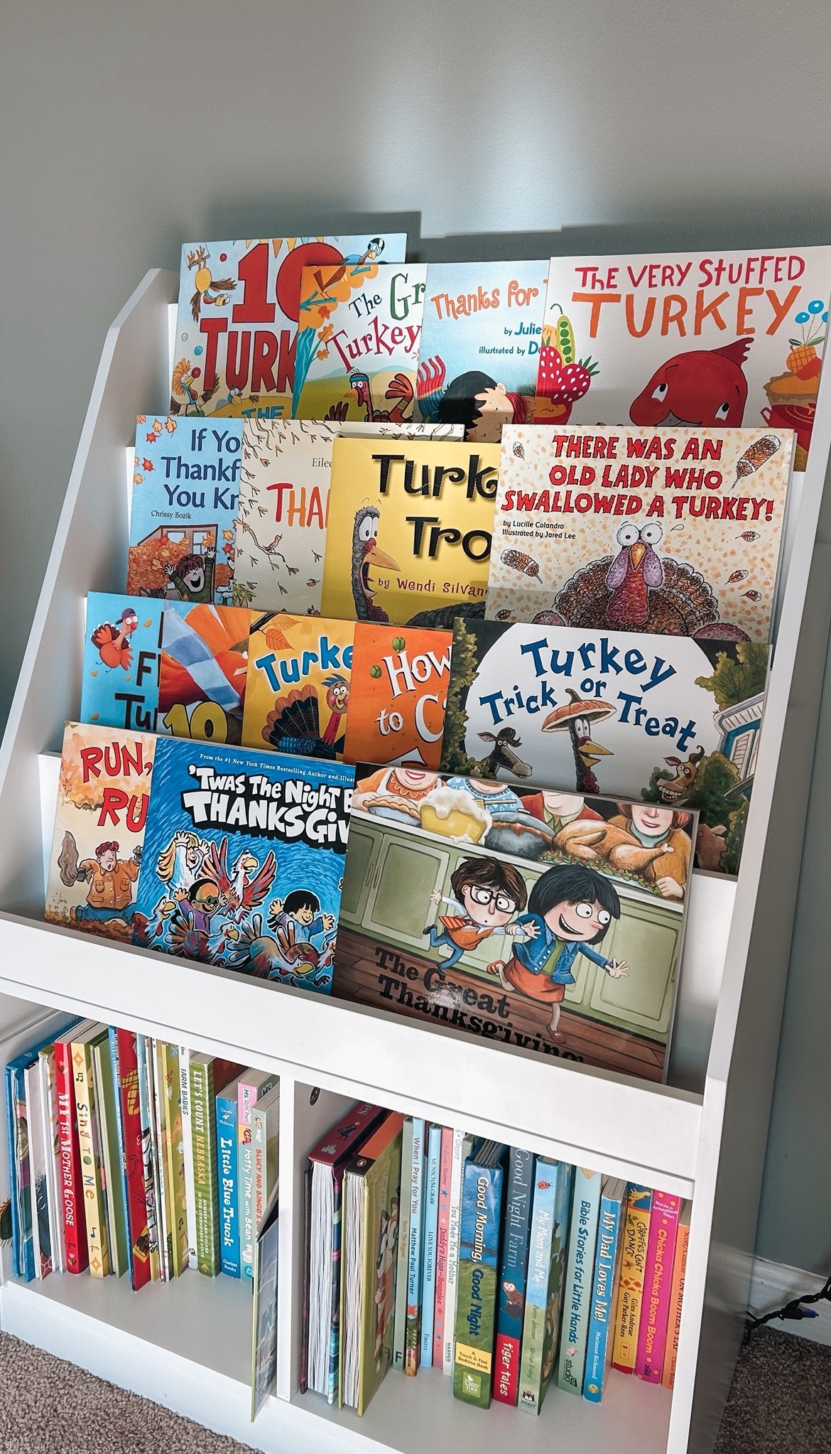 Thanksgiving books for kids 🦃🍁🤎

#LTKSeasonal #LTKFindsUnder50 #LTKKids