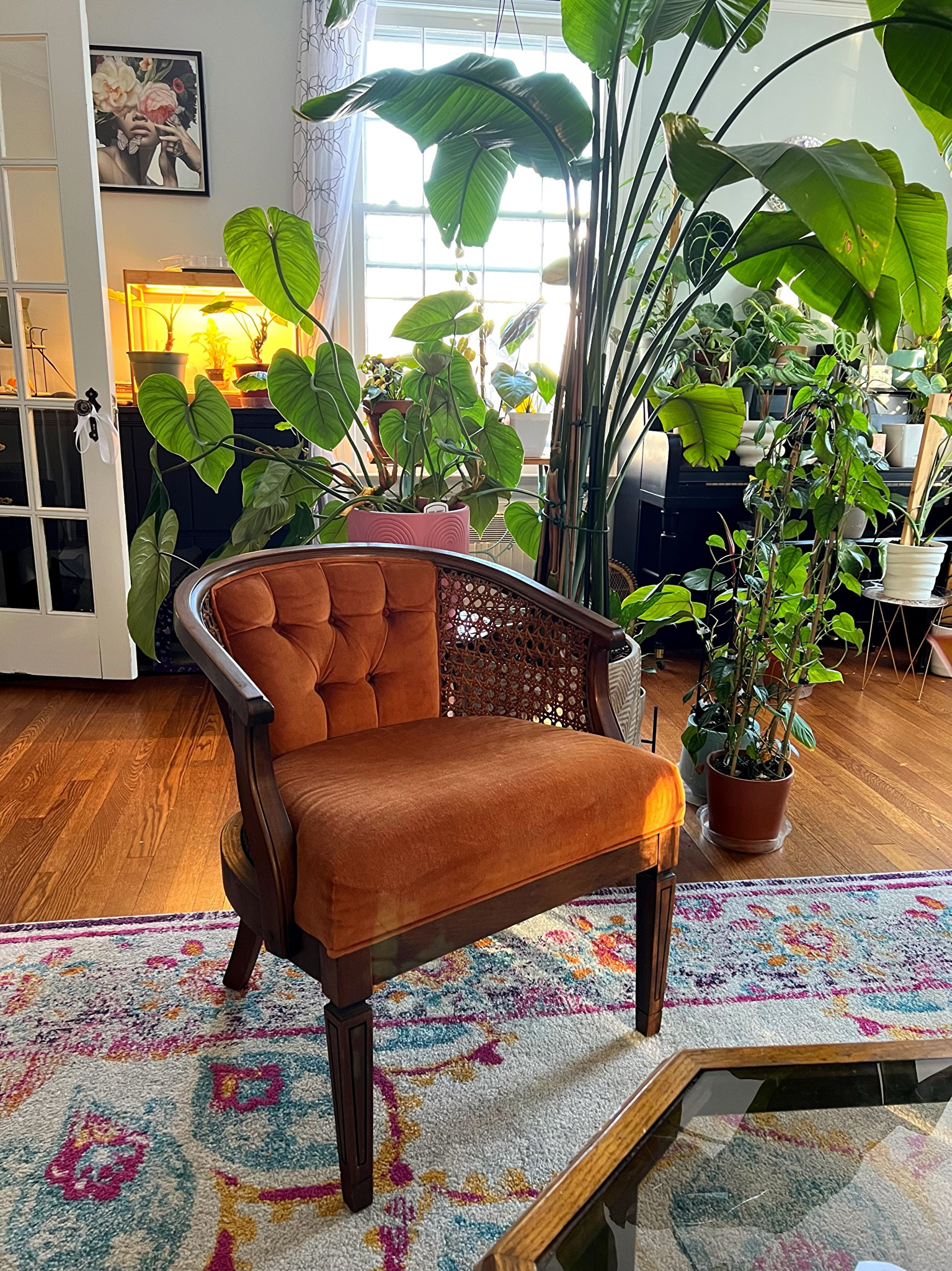 Gorgeous chair that can fit many different design schemes! 

#LTKMostLoved #LTKhome #LTKstyletip