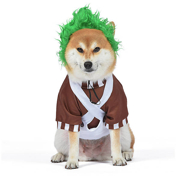Willy Wonka Halloween Oompa Loompa Dog Costume | PetSmart