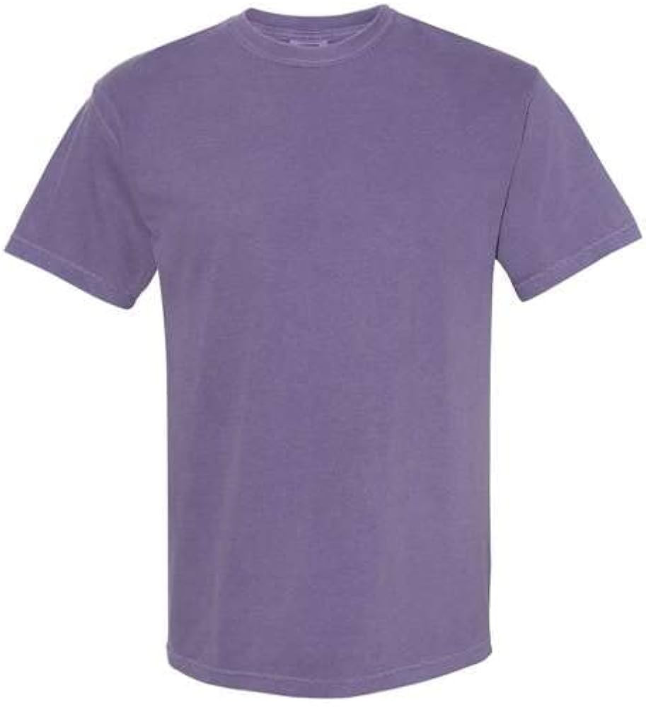 Comfort Colors Adult Short Sleeve Tee, Style G1717 | Amazon (US)