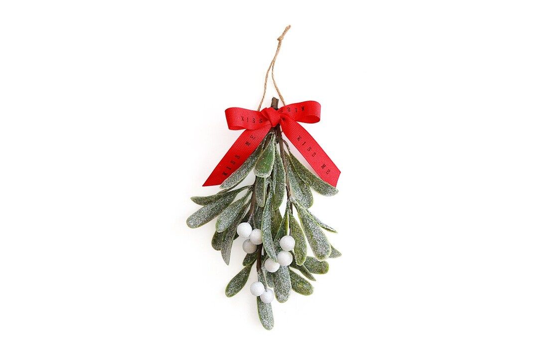Hanging Mistletoe, mistletoe kissing ball, mistletoe decoration, mistletoe ornament, mistletoe ba... | Etsy (US)
