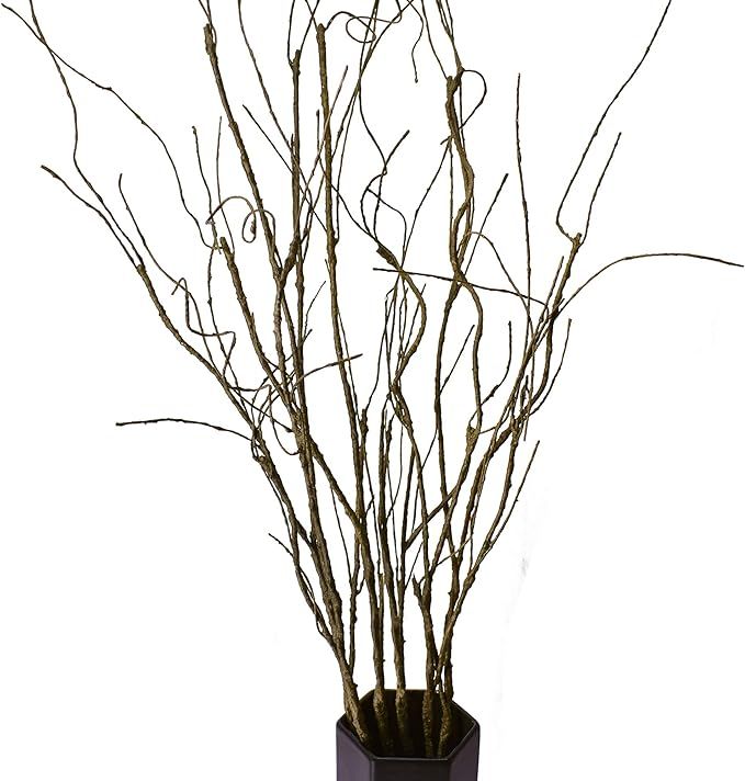 FeiLix 5PCS Artificial Curly Willow Branches, Decorative Dry Twigs, 30.7 Inches Fake Bendable Sti... | Amazon (US)