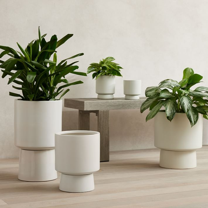 Bishop Ceramic Indoor/Outdoor Pedestal Planters | West Elm (US)