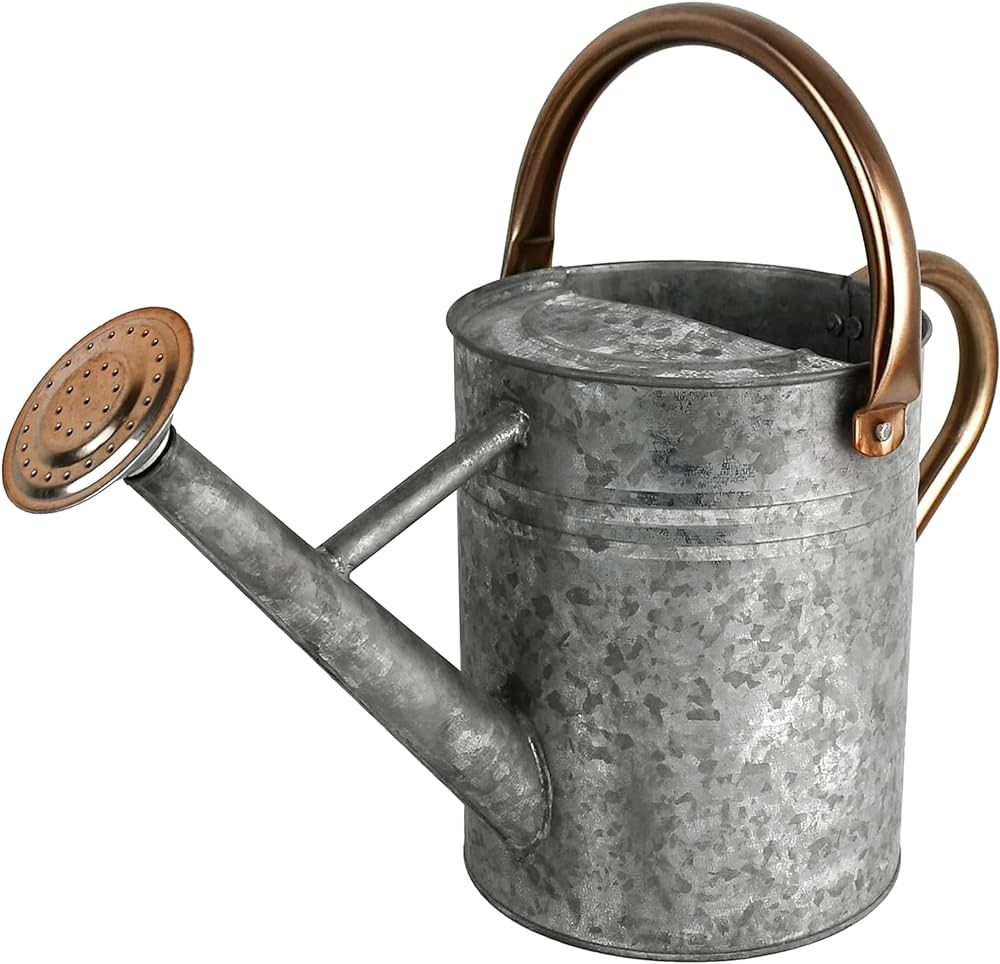 Homarden 1 Gallon Silver Colored Watering Can - Metal Watering Can with Removable Spout, Perfect ... | Amazon (US)