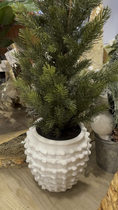 The tree in this textured pot is sold out but there is a version with pine branches in the pot available! Anthro dupe, Christmas decor, holiday decor 

#LTKSeasonal #LTKhome #LTKHoliday