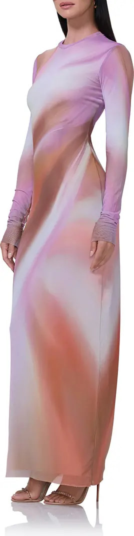 Didi Long Sleeve Mesh Maxi Dress | Nordstrom