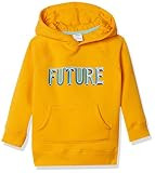 Amazon Essentials Boys' Fleece Pullover Hoodie Sweatshirts, Future, 2T | Amazon (US)