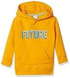 Amazon Essentials Boys' Fleece Pullover Hoodie Sweatshirts, Future, 2T | Amazon (US)