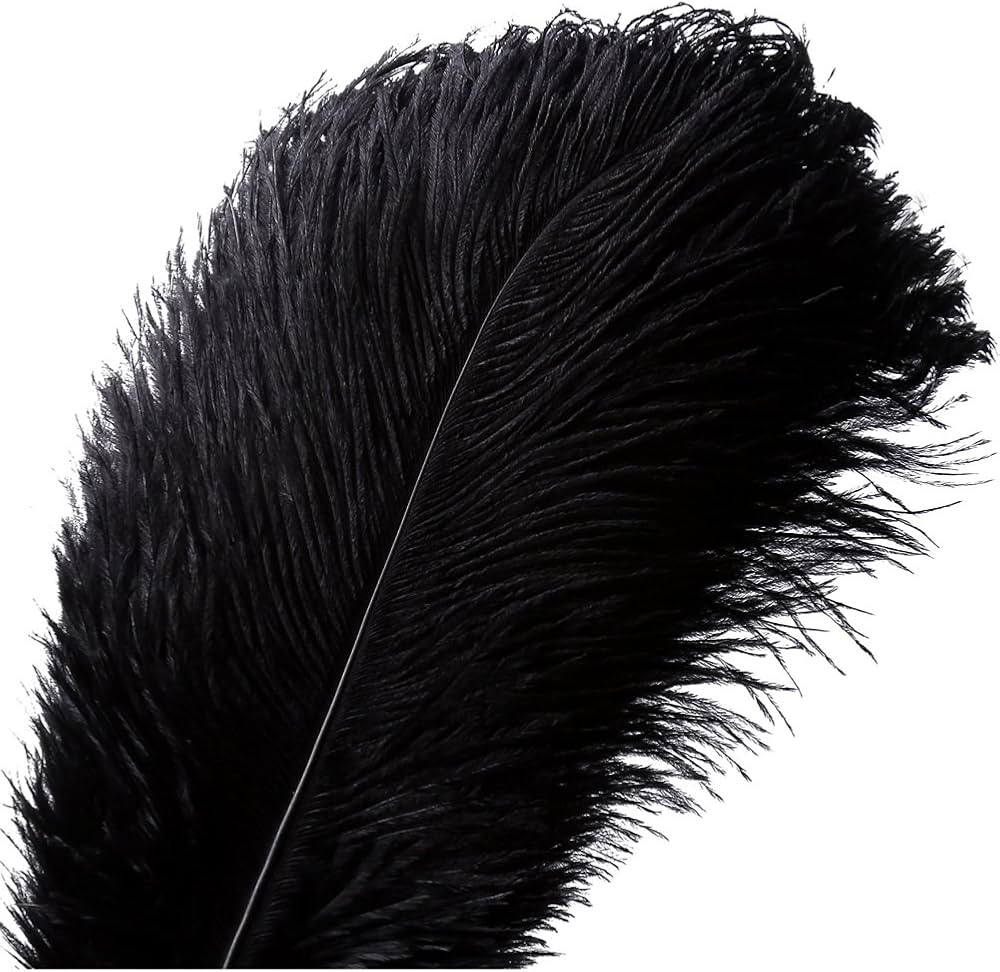 10 Pcs Natural Ostrich Feather Craft Plume - 14-16inch(35-40cm) For Wedding Centerpieces Home Dec... | Amazon (CA)