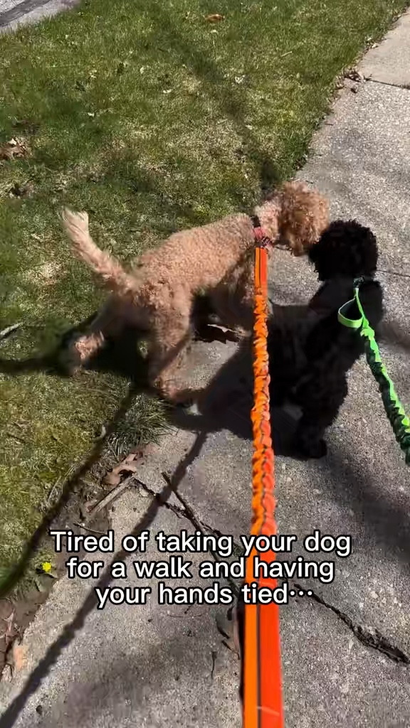 Mighty Paws Bungee Dog Leash Hands-Free💚🧡 #mightypaw #petsupplies #dogleash #handsfree #leash #reflectiveleash

#LTKdayinmylife #LTKU #LTKTravel
