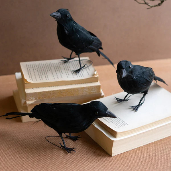 Black Feather Crow Sculpture Set of 3 | Paynes Gray Inc