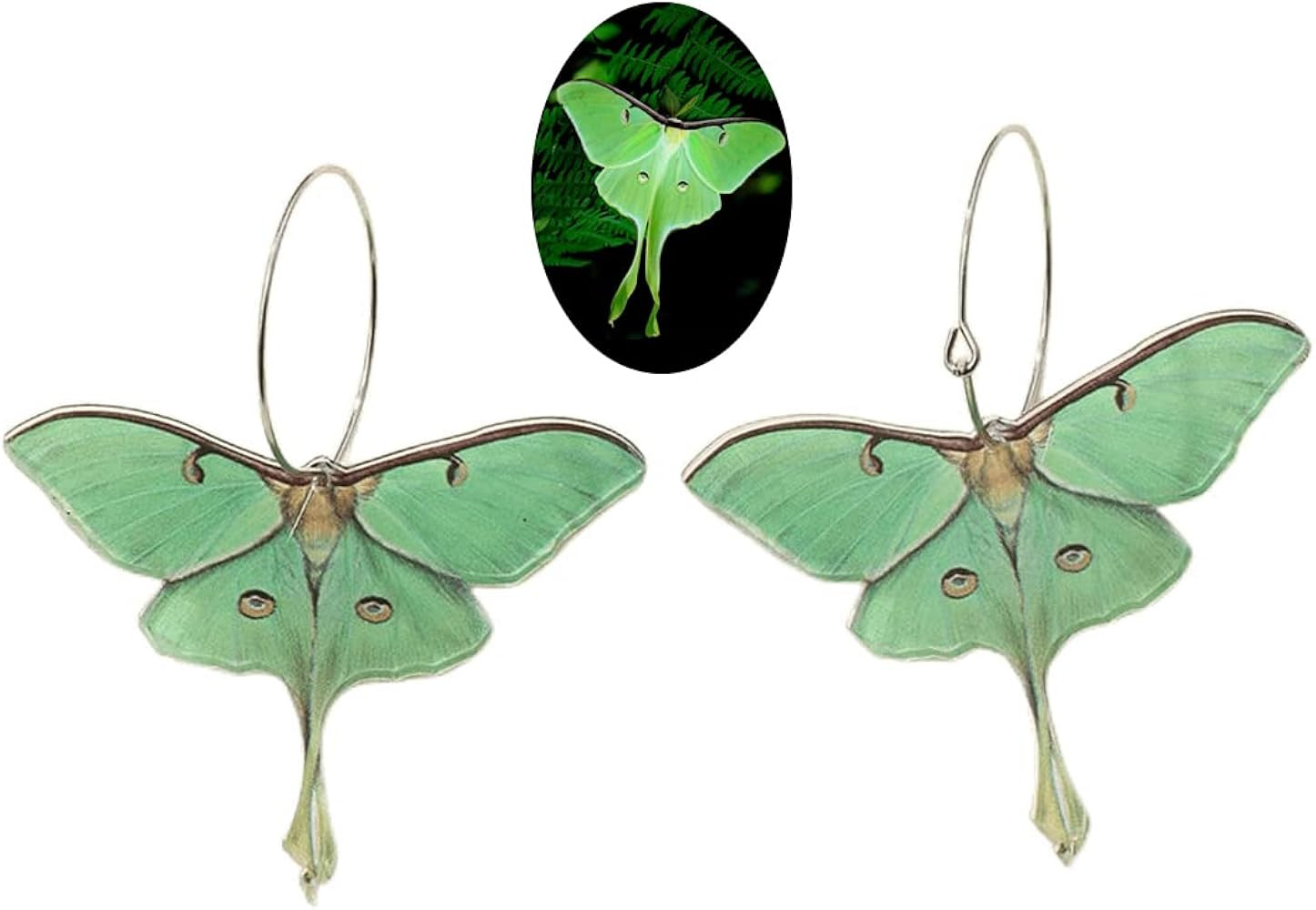 Moth Butterfly Earrings.Punk Insect Drop Earrings Color Acrylic Moth Wing Earrings Statement Blac... | Amazon (US)