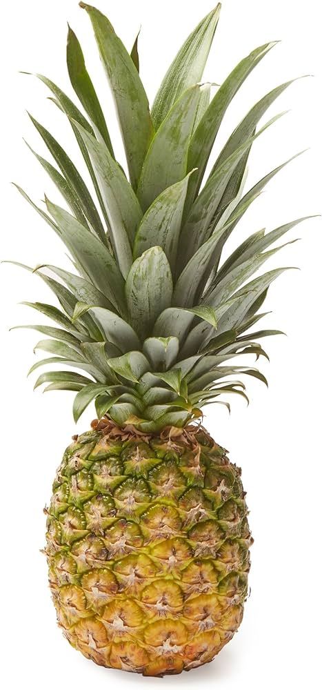 Pineapple Jet Fresh Conventional, 1 Each | Amazon (US)