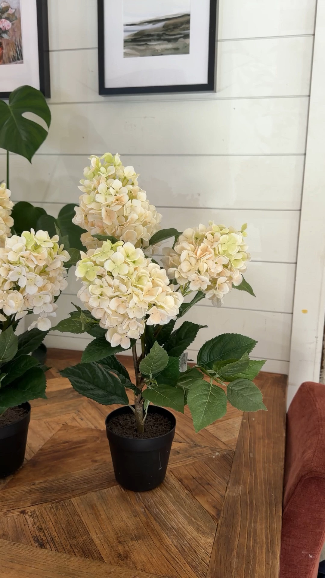 Faux hydrangeas

#LTKHome