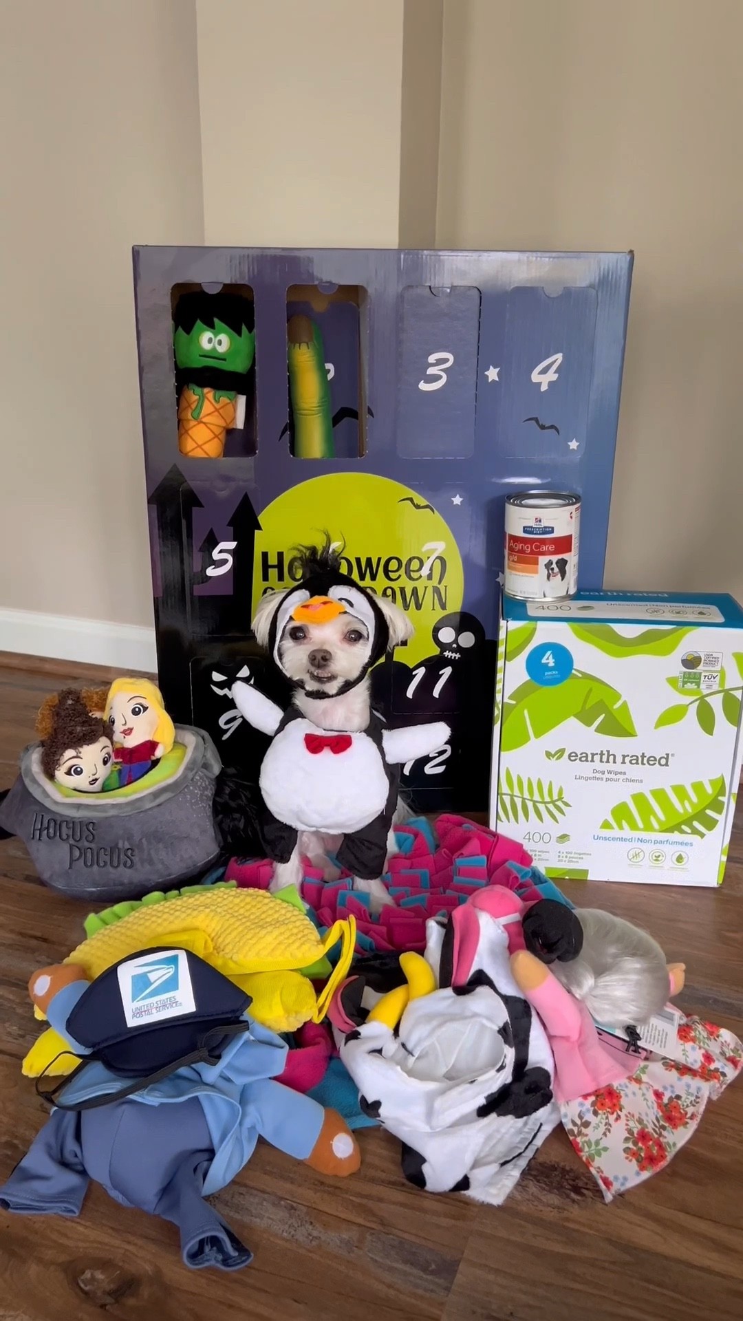 ON PROMO through 10/12 with code FALL2022. 
Chewy Halloween Advent Calendar,
Earth Rated Dog Wipes we love both the lavender & unscented 
Hocus pocus toys
Snuffle mat
Penguin, cow, grandma, taco and usps dog costume size XS


#LTKunder50 #LTKHalloween #LTKHoliday