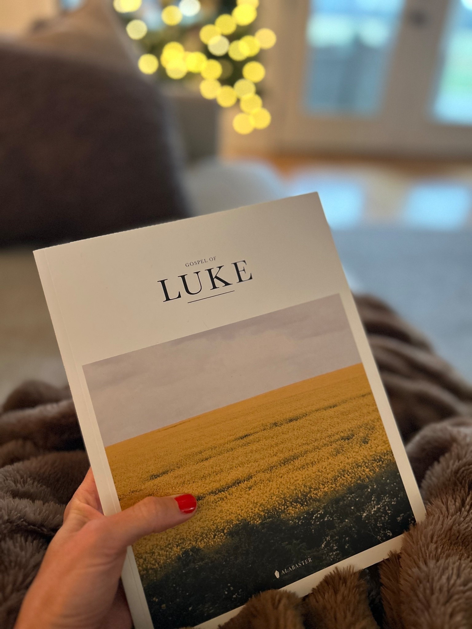 Reading through one chapter of Luke each morning in the month of December to review the life of Jesus✨
Love reaching for my coffee table books of the Bible 

#LTKHoliday #LTKGiftGuide #LTKHome