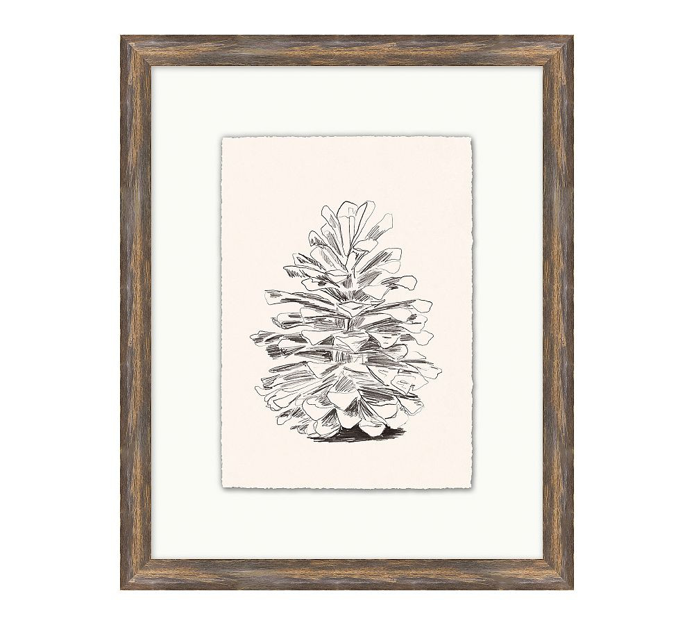 Conifer Cone Framed Print | Pottery Barn (US)