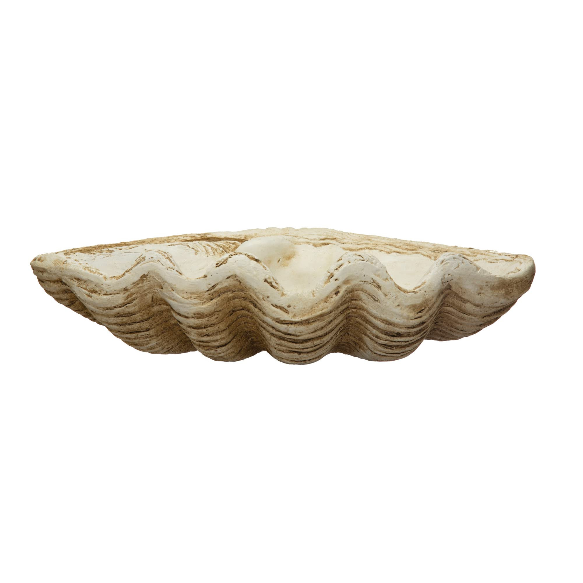 Amazon.com: Coastal Decorative Magnesia Clamshell, Natural : Home & Kitchen | Amazon (US)