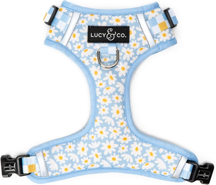 Lucy & Co. Cute No-Pull Simply Splendid Harness - Stop Pulling & Walk Easy - Harness Available in... | Amazon (US)